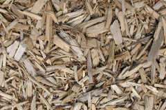 biomass boilers Staplegrove