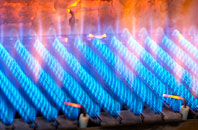 Staplegrove gas fired boilers